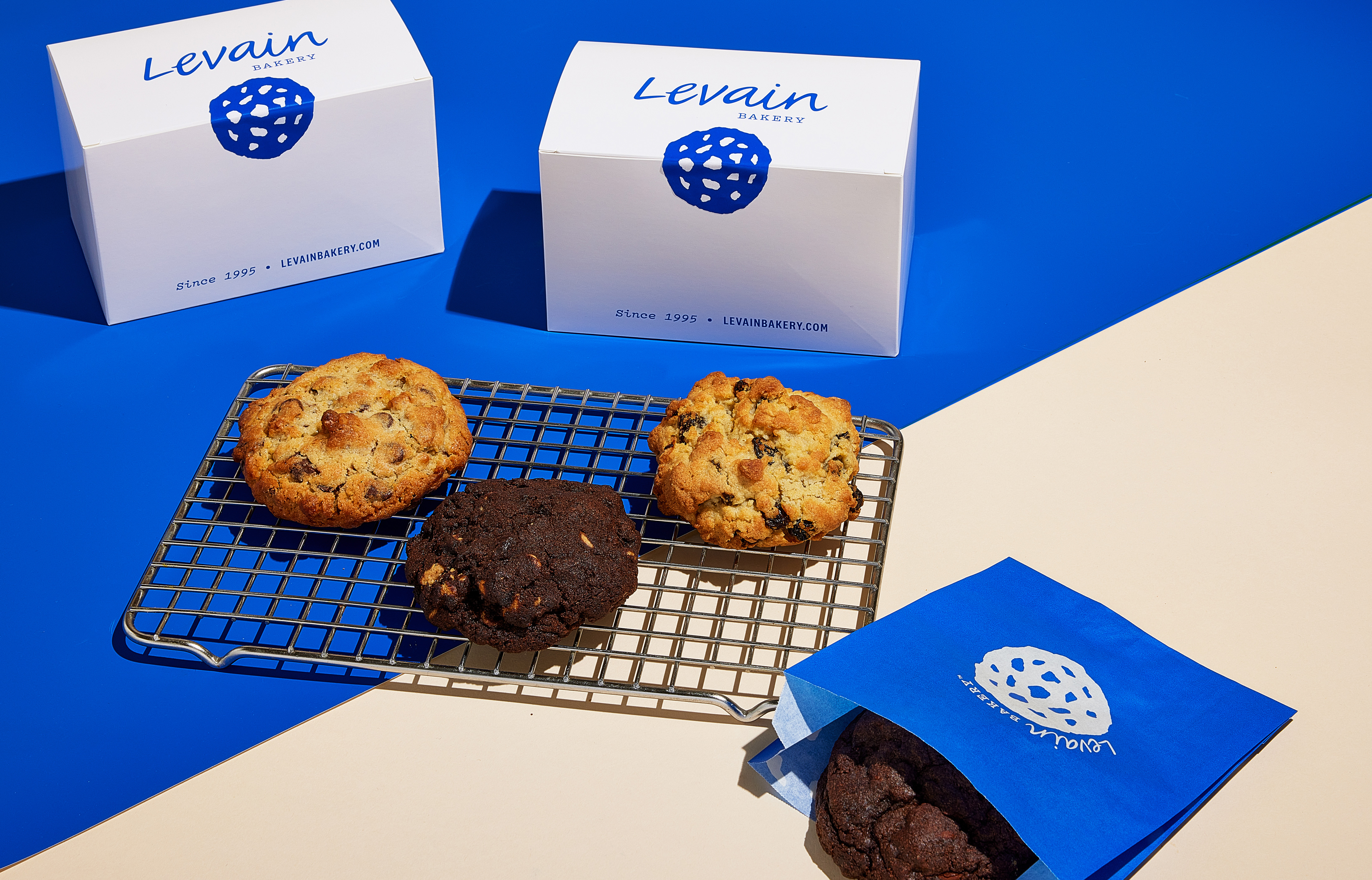 /media/Levain-Think-package-day2_20242455-Updated.jpg