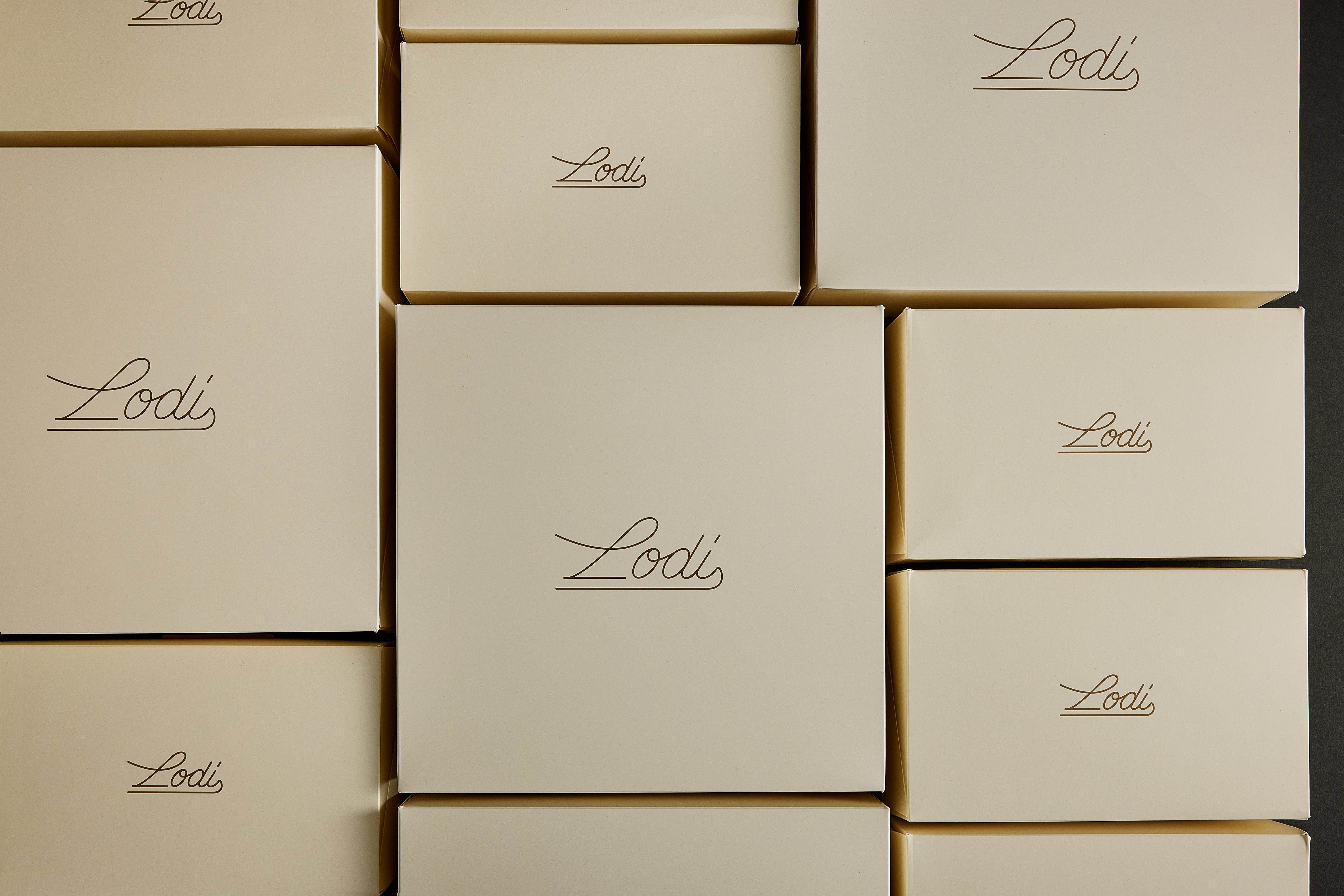 /media/Lodi-Think-package-day2_20242575.jpg